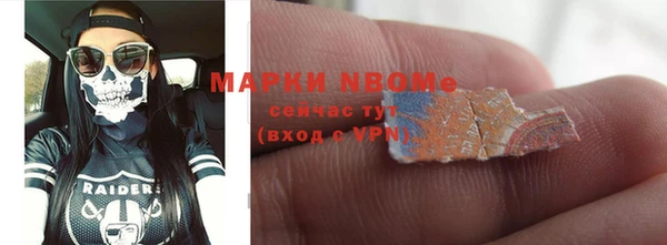 мдпв Карпинск