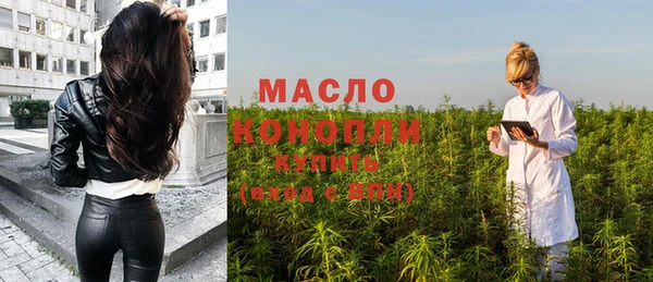 мдпв Карпинск