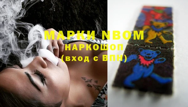 мдпв Карпинск