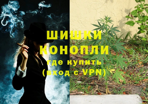 мдпв Карпинск